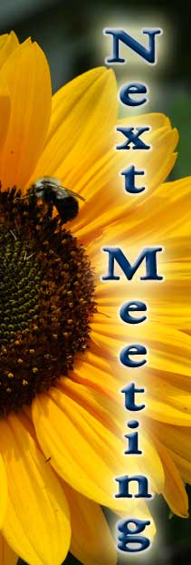 next meeting
